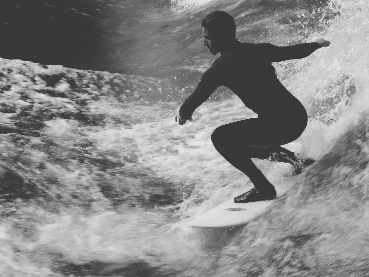 surfer surfing surf free photo