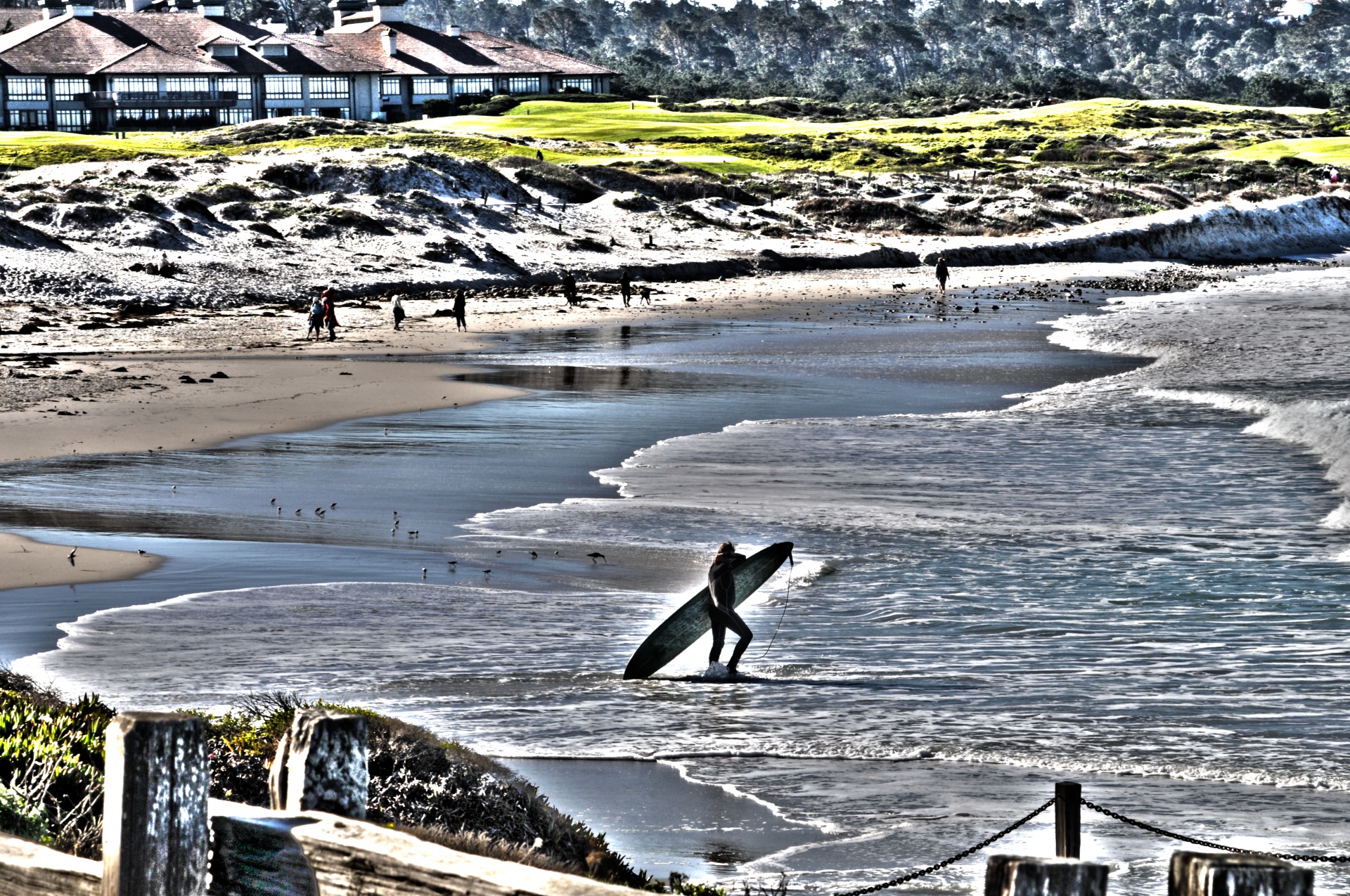 surf surfing man free photo