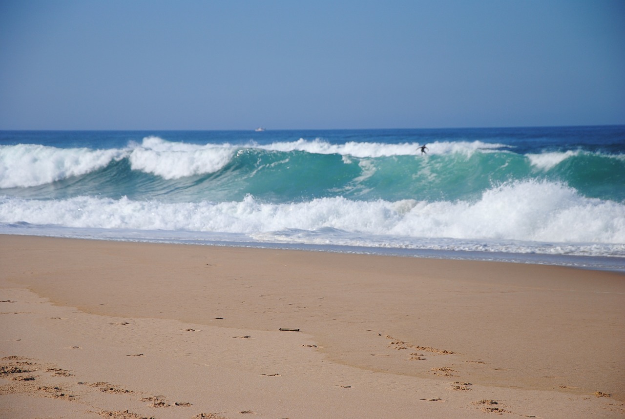 surfer in portugal surf waves free photo