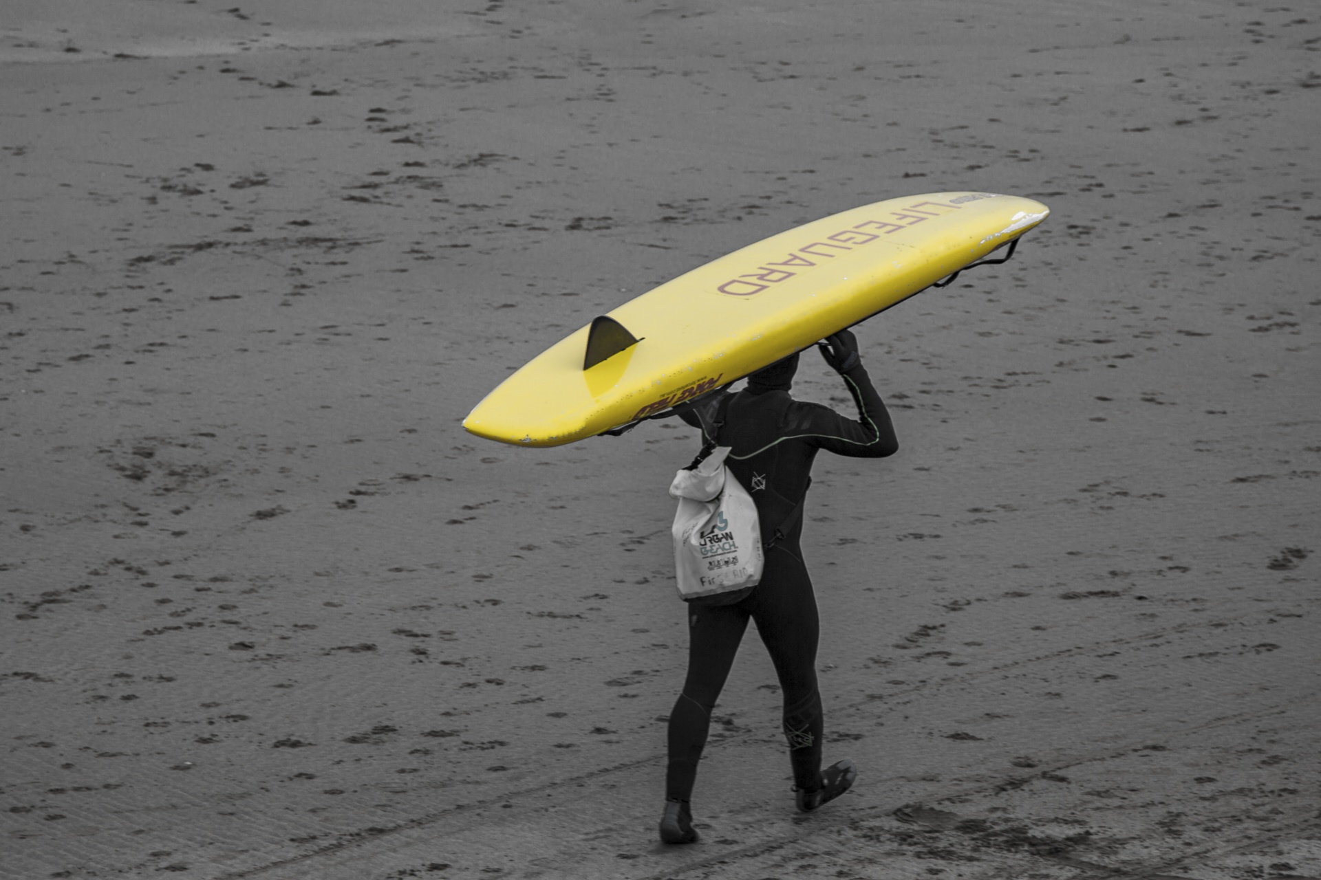 surfing surf surfer free photo