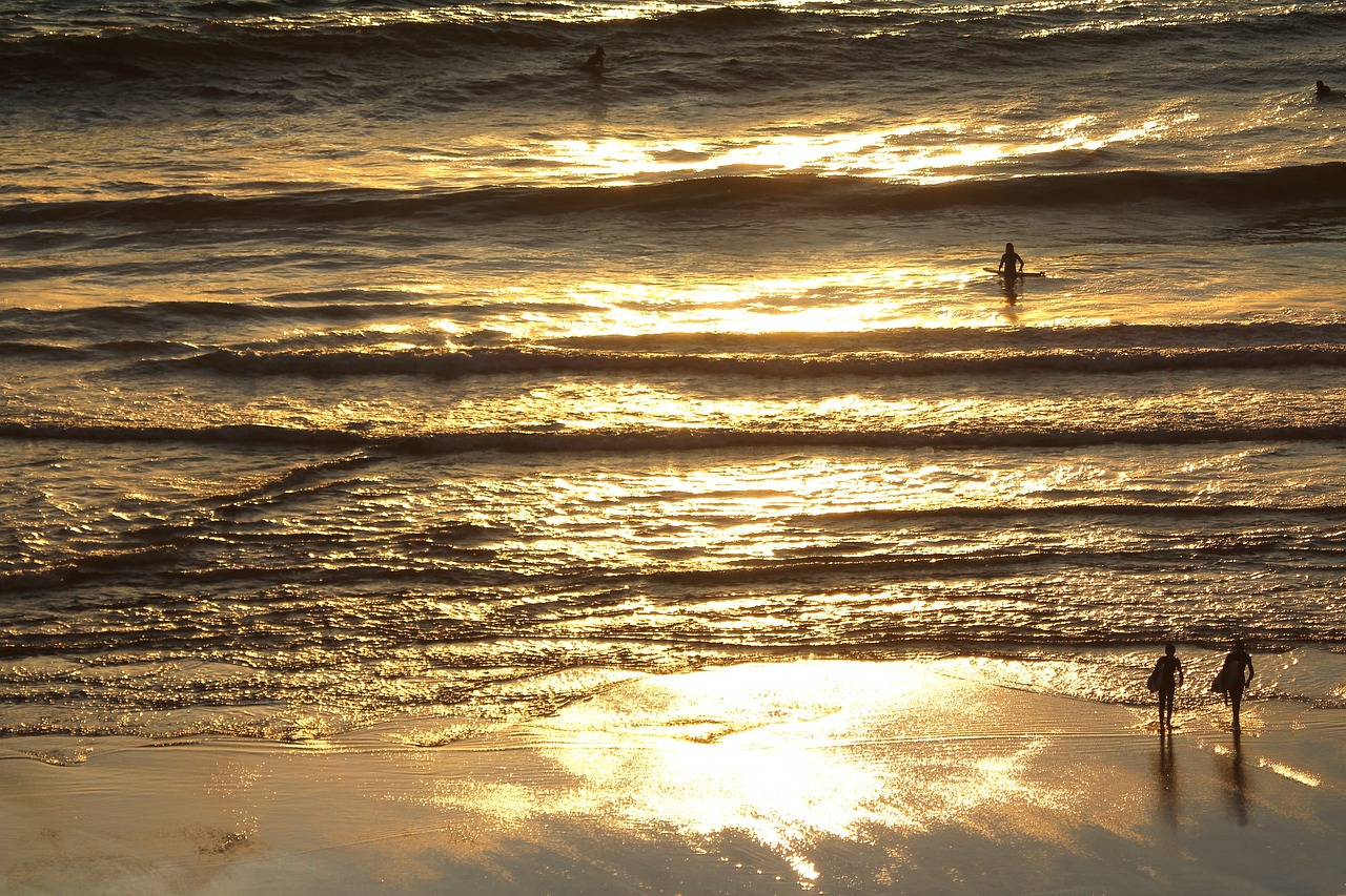 surfers  beach  reflection free photo