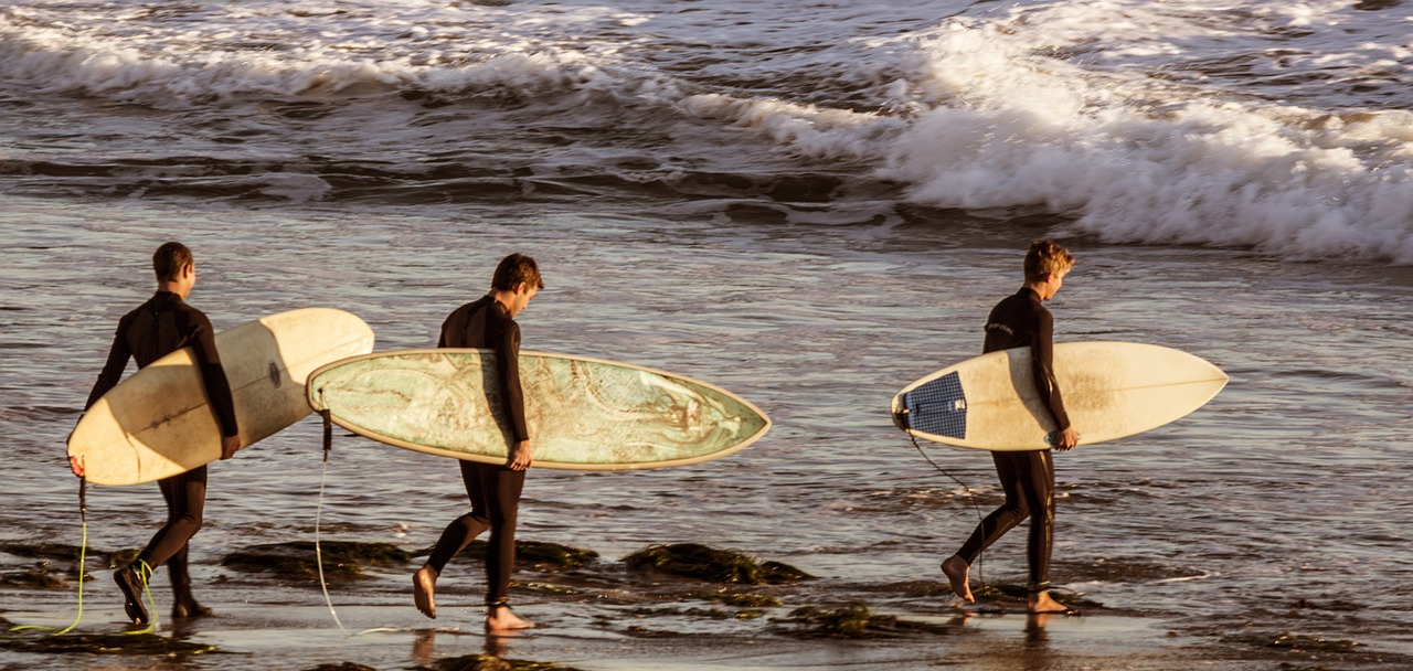 surfers surf surfboard free photo