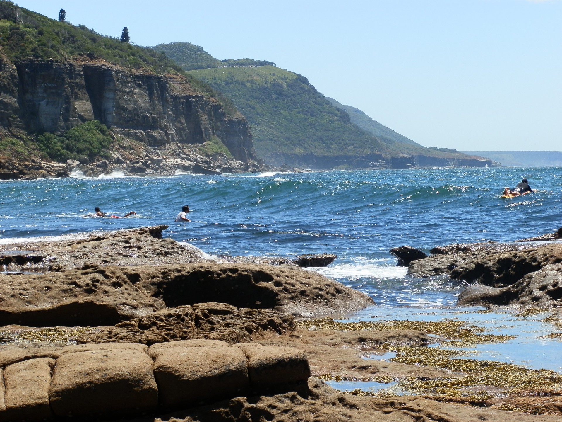 surfers body surf wave free photo