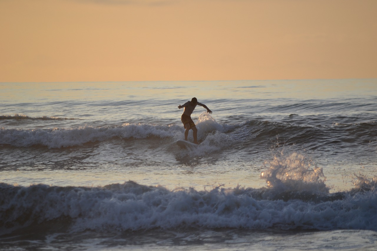 surfing sunset surfer free photo