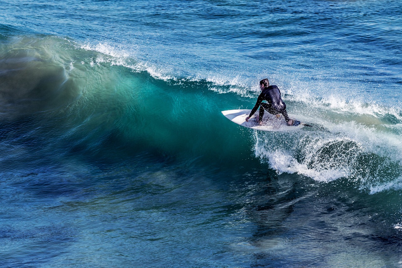 surfing surfer surf free photo