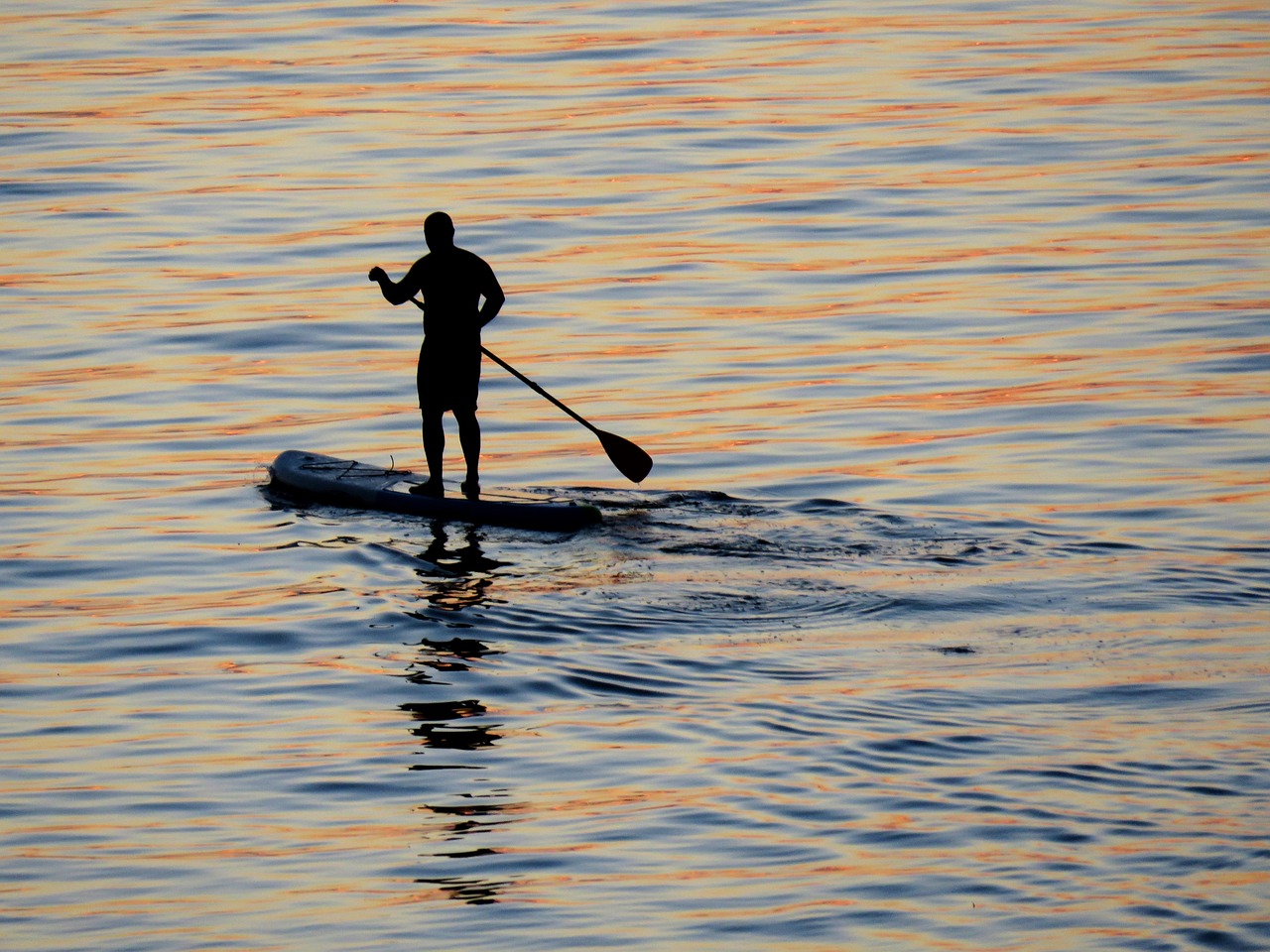 surfing water ocean free photo