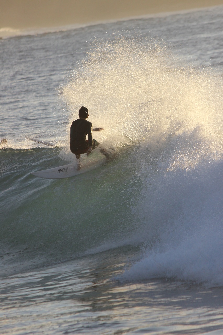 surfing surf ocean free photo
