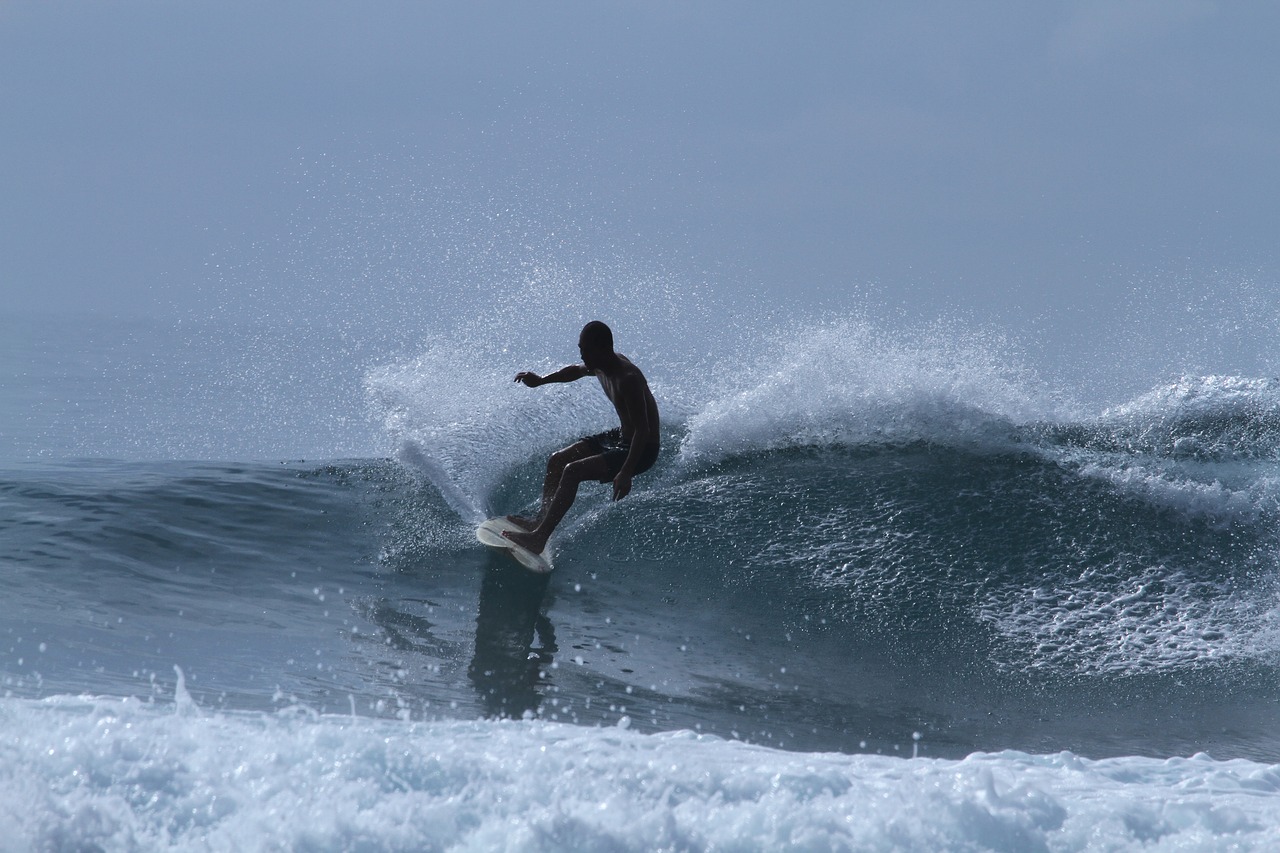 surfing sea wave free photo