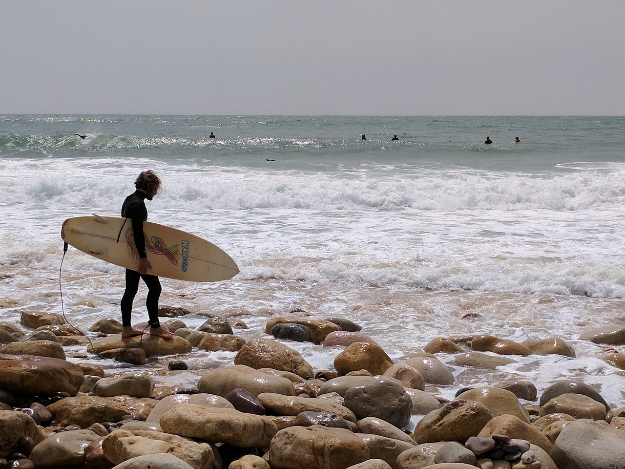 surfing portugal sea free photo