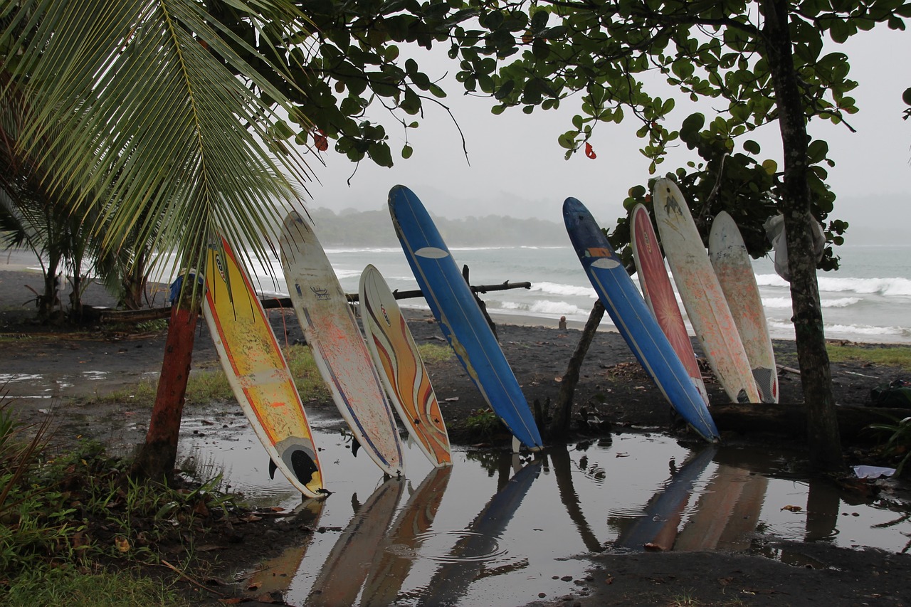 surfing sports ocean free photo