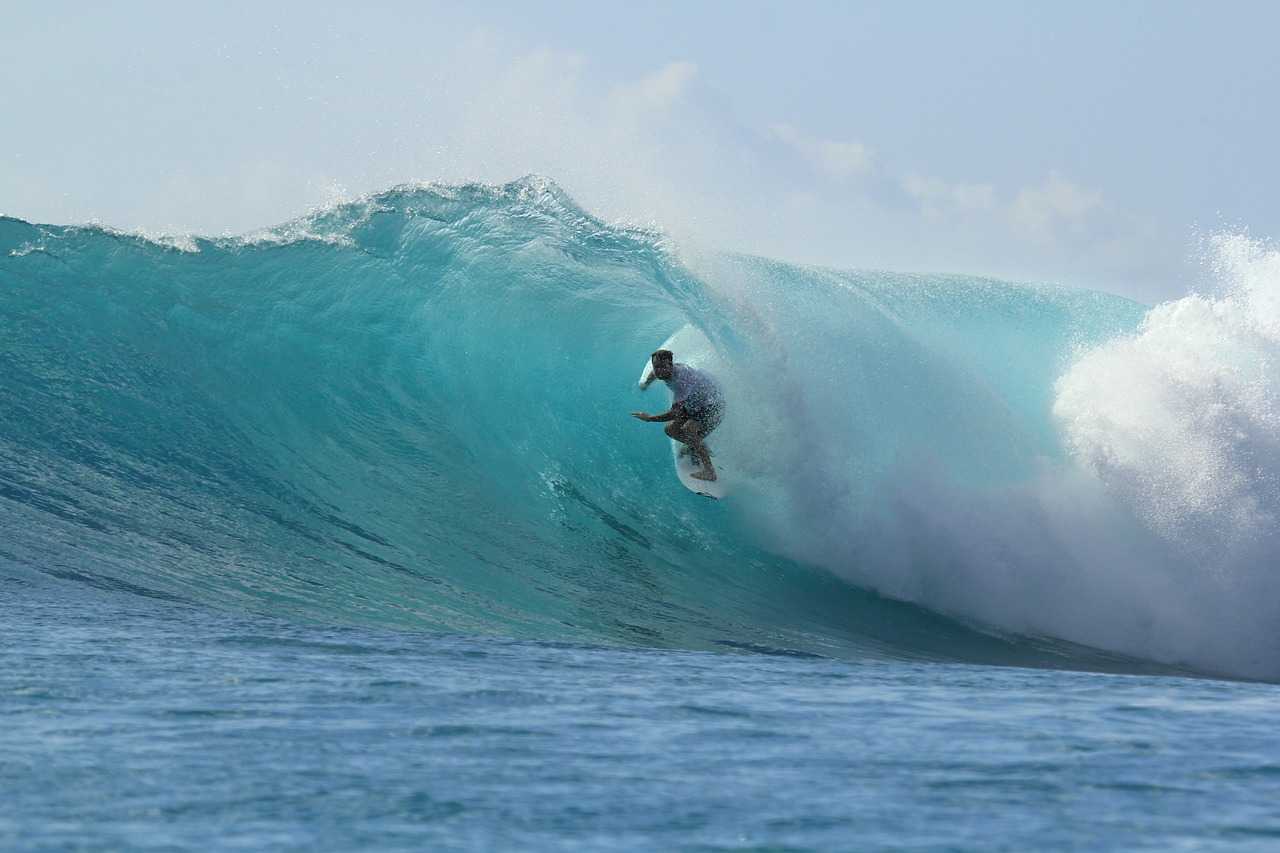 surfing paradise summer free photo