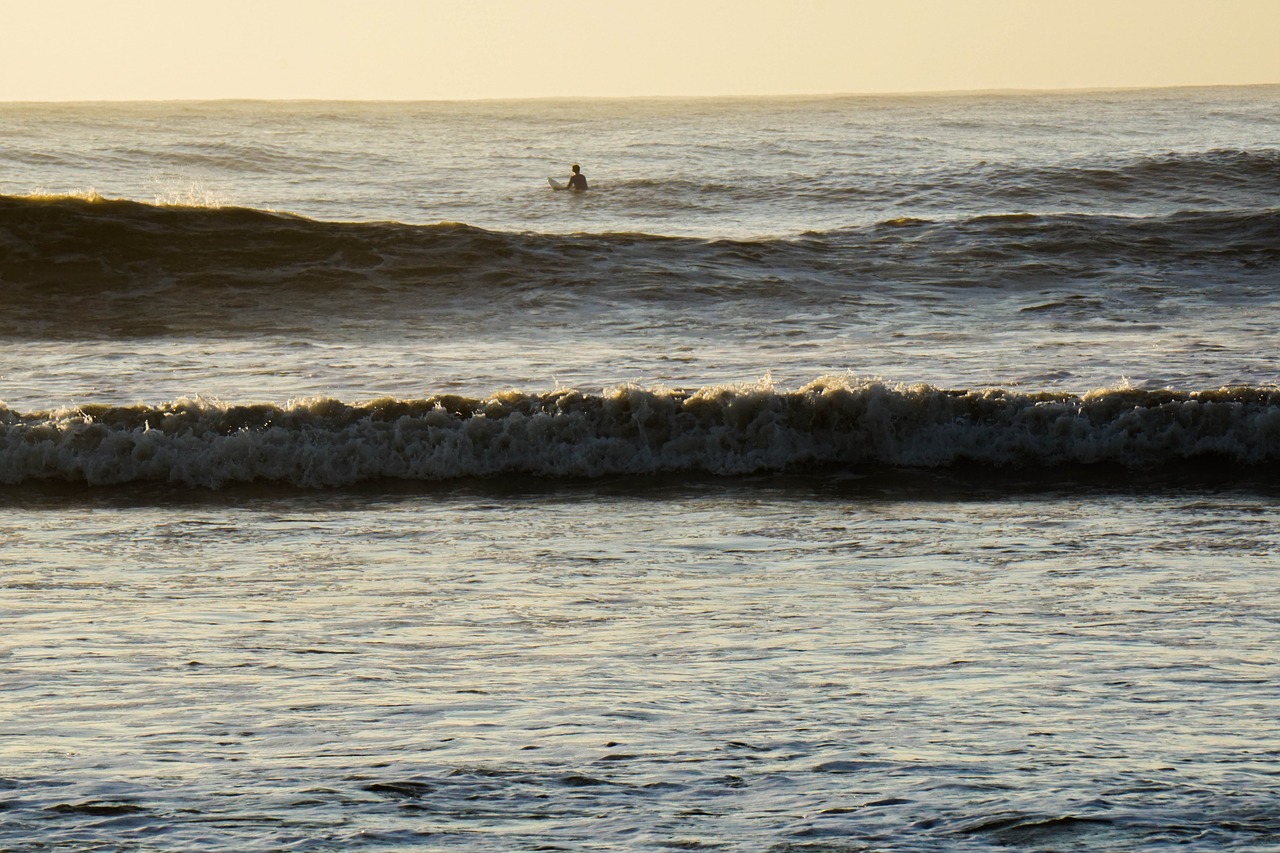 surfing ocean beach free photo