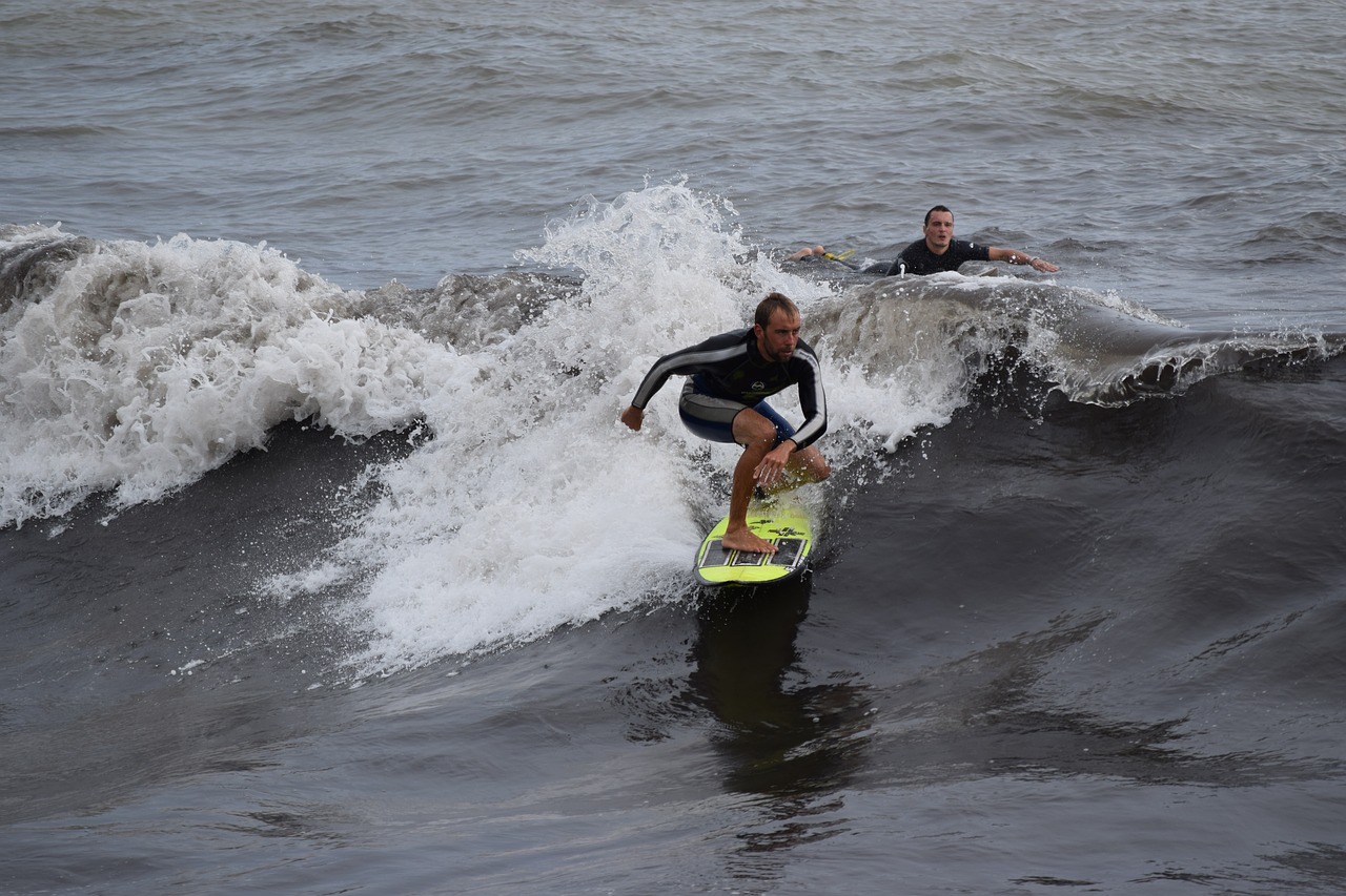 surfing surfer beach free photo