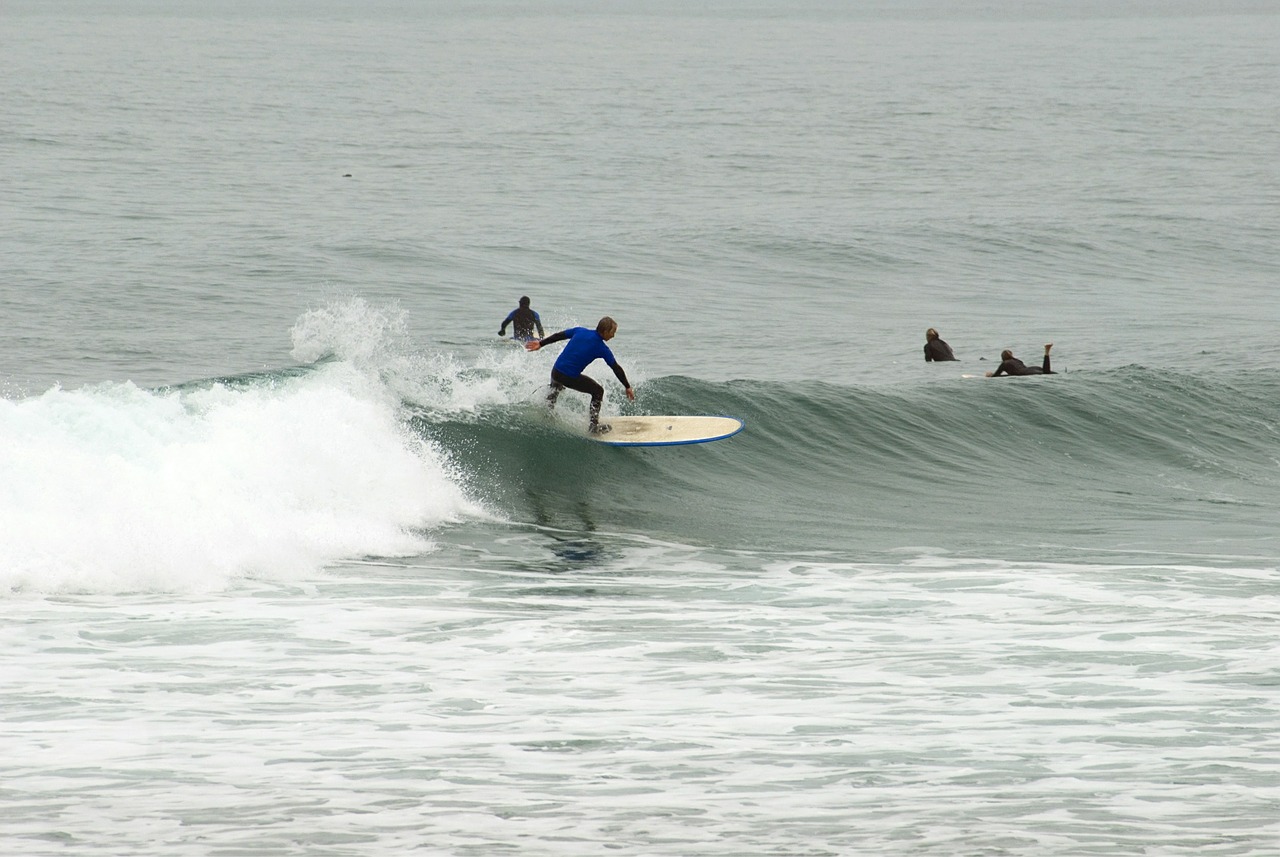surfing beach surf surf free photo