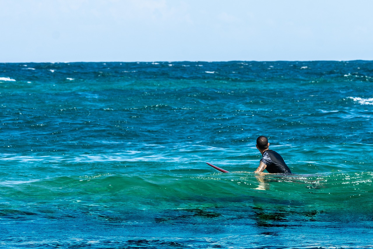 surfing  waves  sea free photo