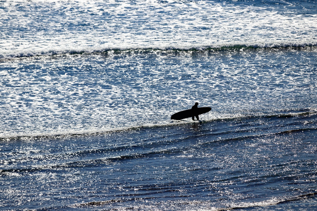 surfing  san onofre  california free photo