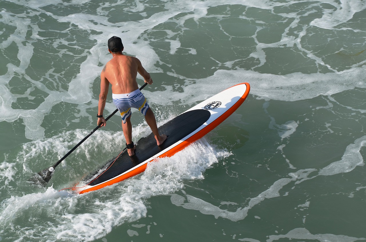 surfing paddle board ocean free photo