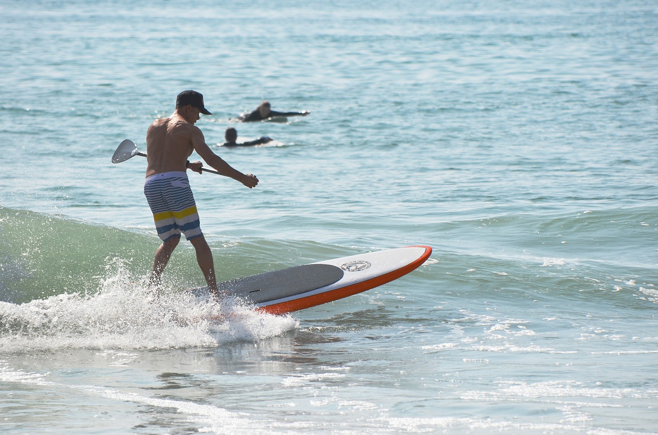 surfing paddle board ocean free photo