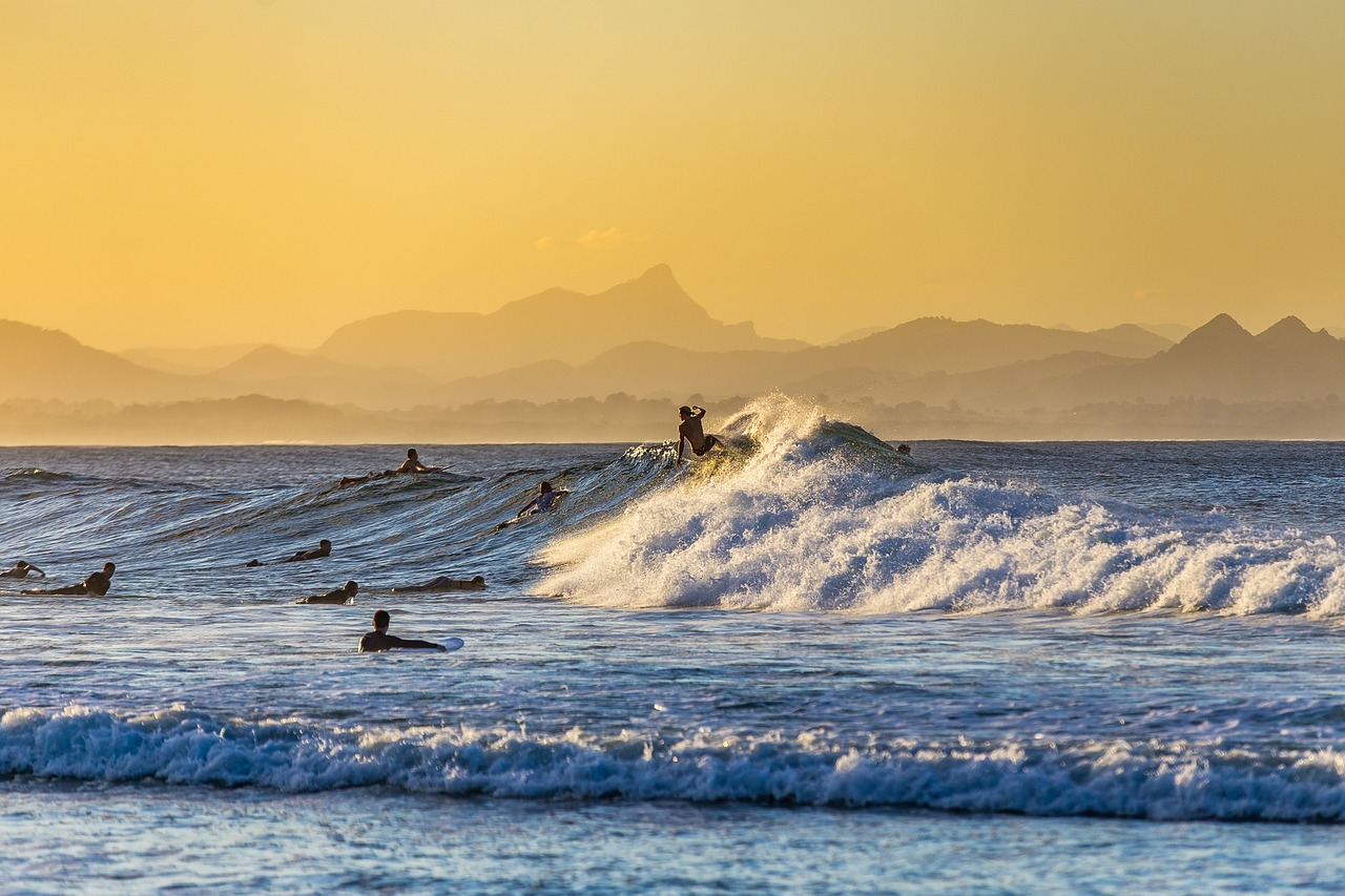 surfing  surfer  sea free photo