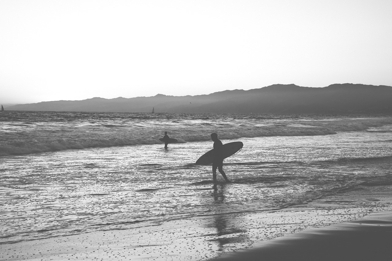 surfing beach surfboard free photo