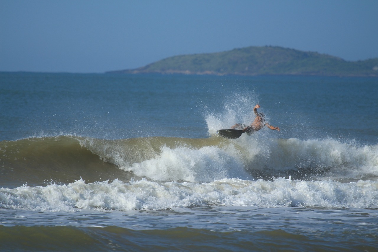surfing surfer surfboard free photo
