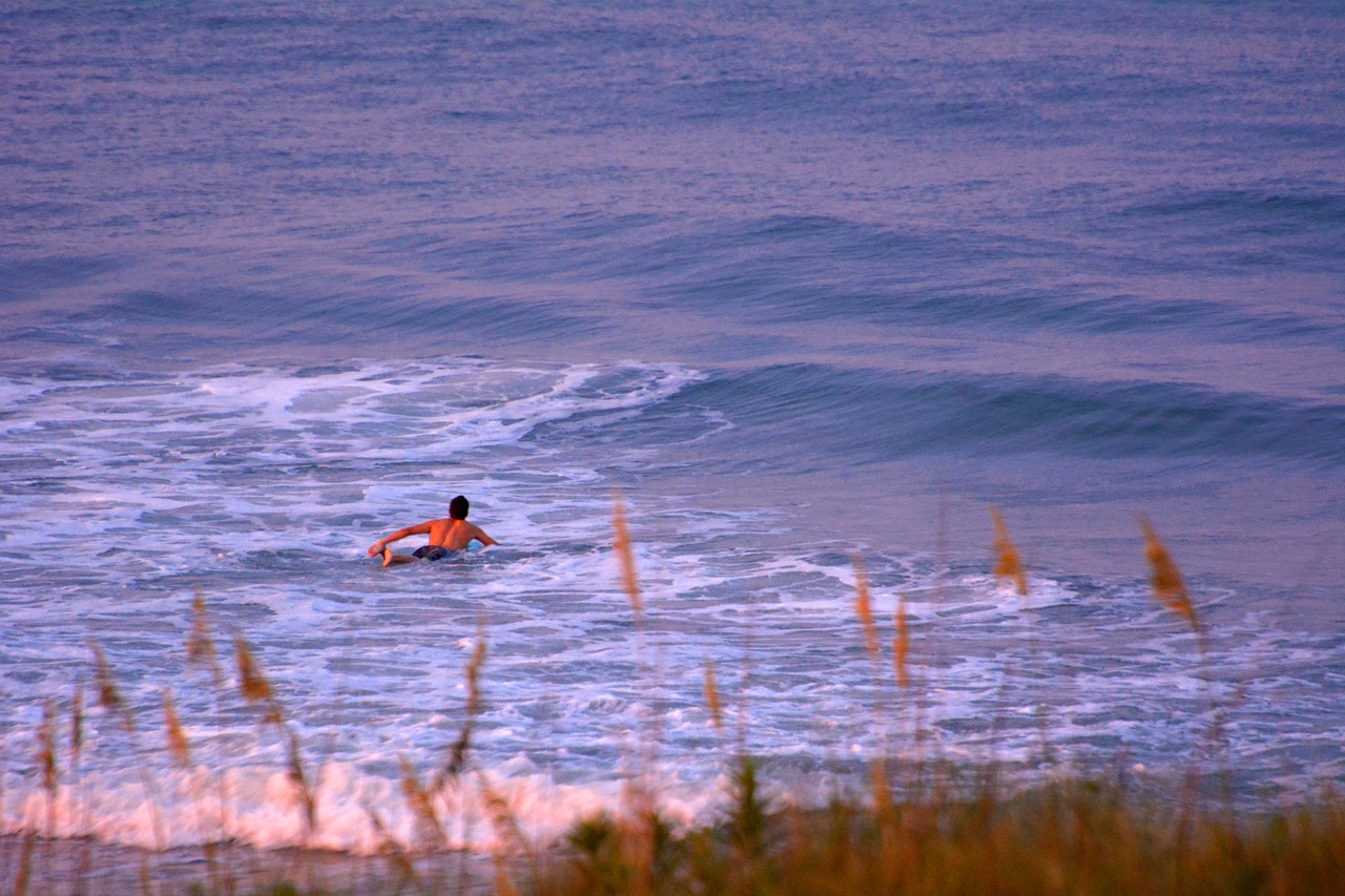 surfing ocean waves free photo