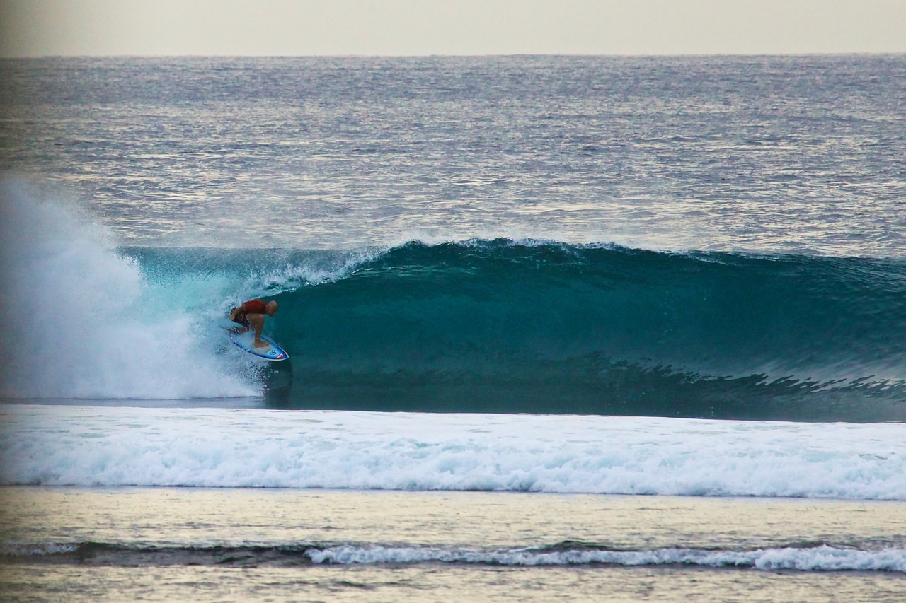 surfing trumpet indonesia free photo