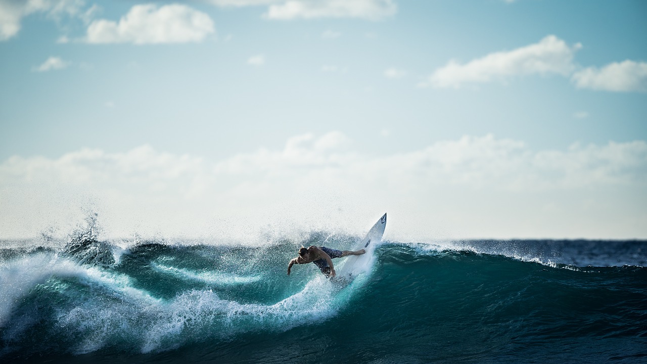 surfing surfer wave free photo