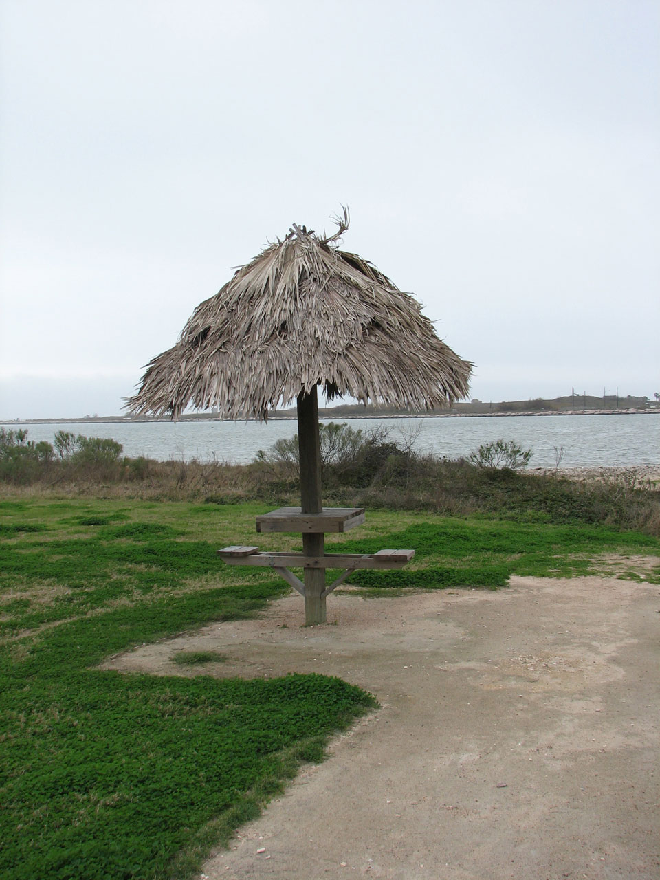 picnic umbrella beach free photo