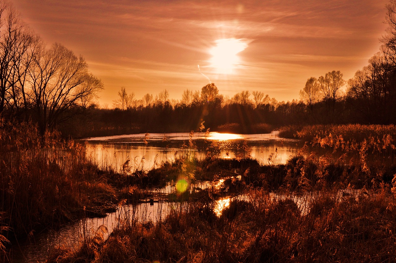 surreal red sunset free photo