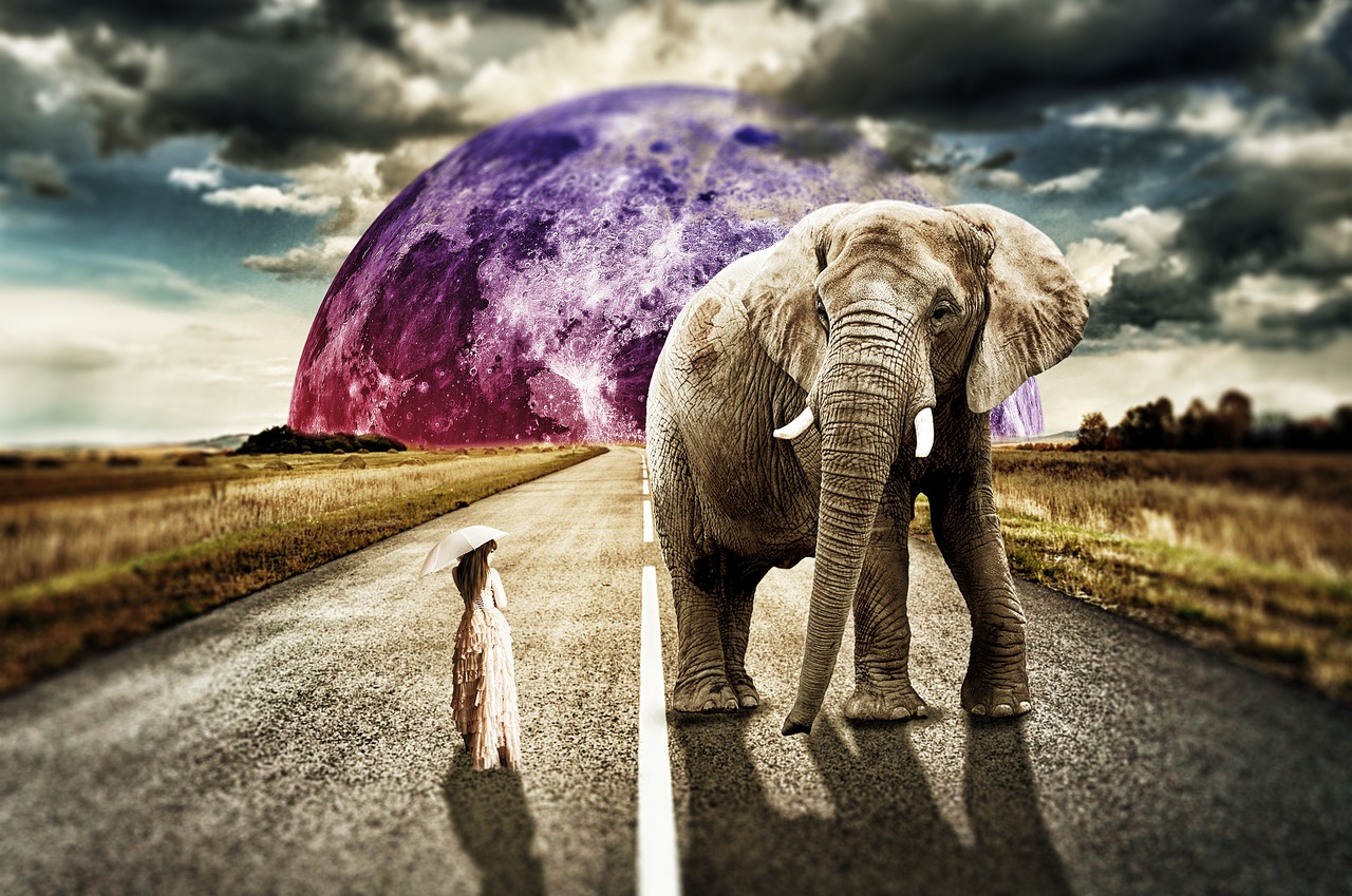 surreal girl elephant free photo