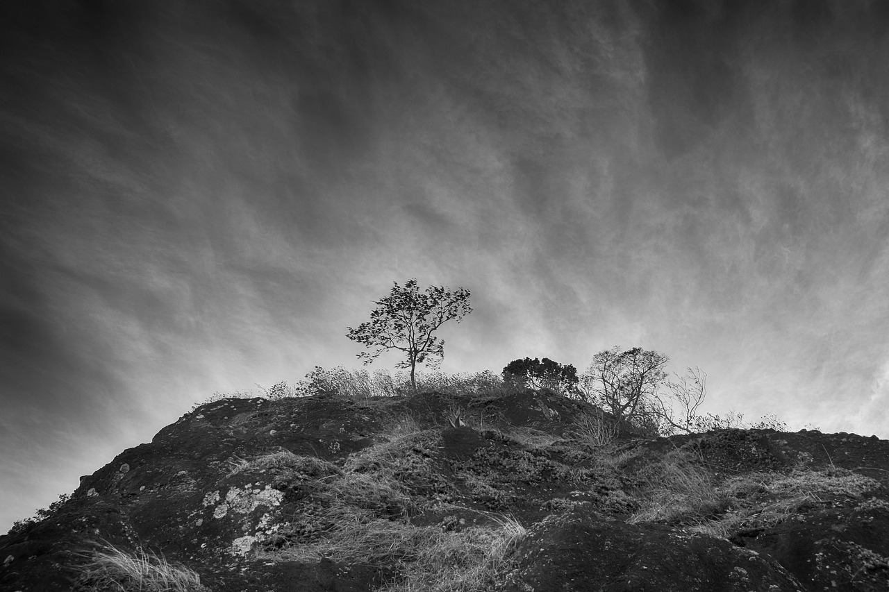 surrealism black and white landscape free photo