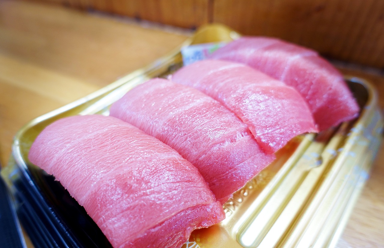 sushi osaka hermon three flat free photo