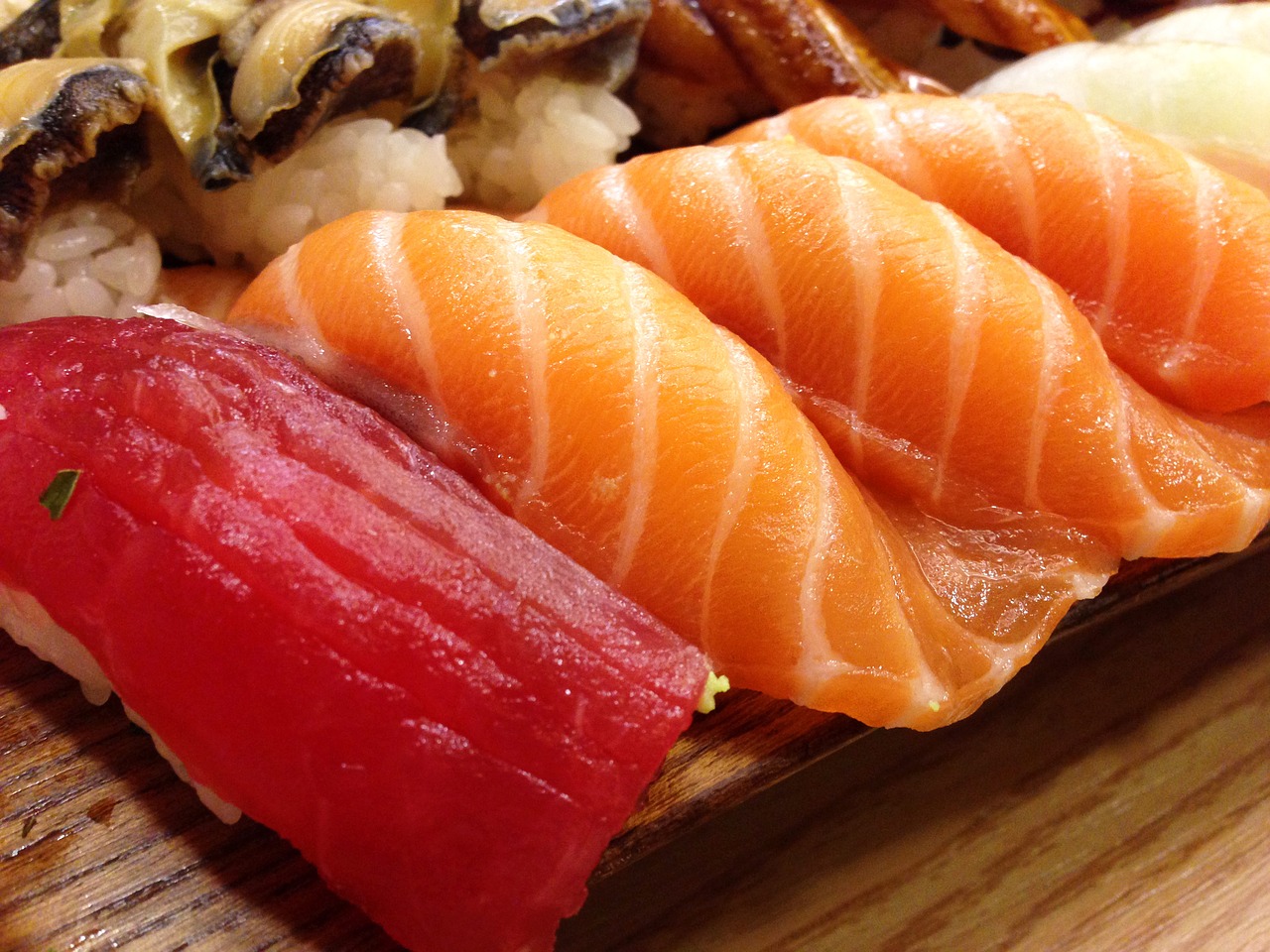 sushi japanese salmon free photo