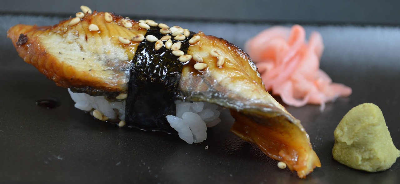 sushi eel japanese food free photo
