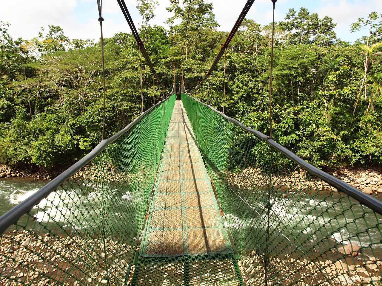 suspension bridge costa rica water free photo