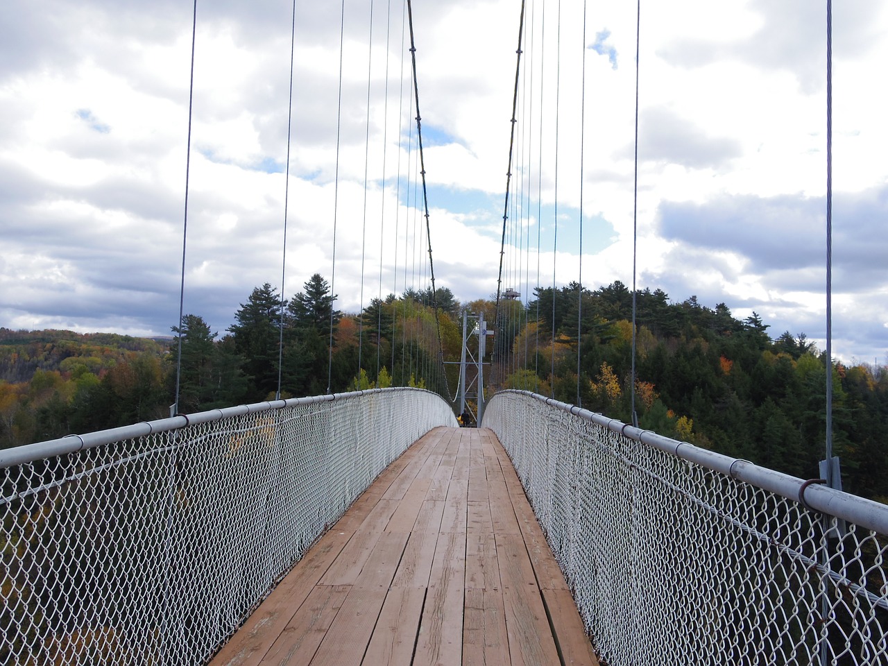 suspension bridge valley natural free photo