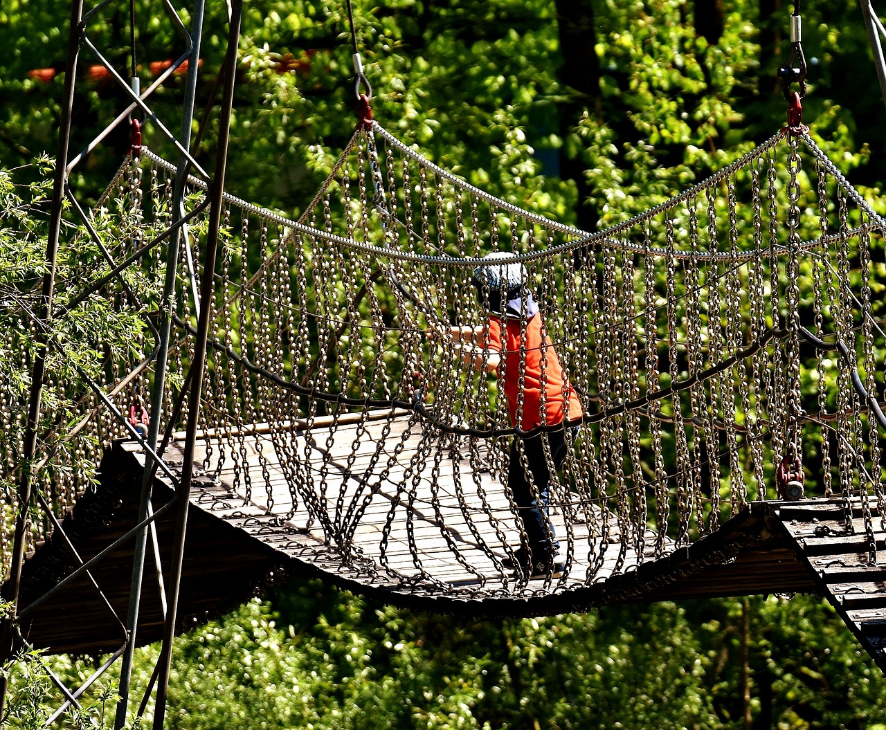 suspension bridge chains child free photo