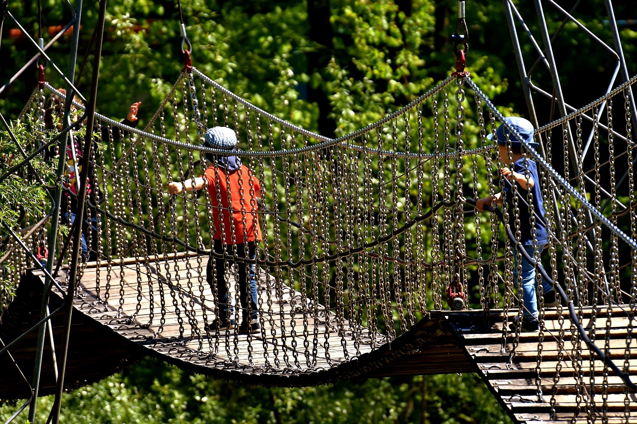 suspension bridge chains children free photo