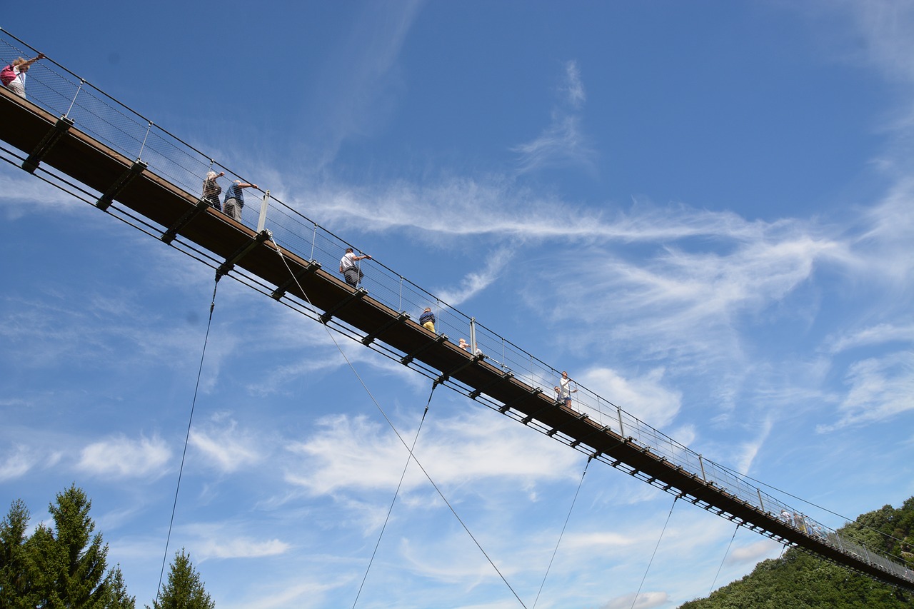 suspension bridge hunsrück hiking free photo