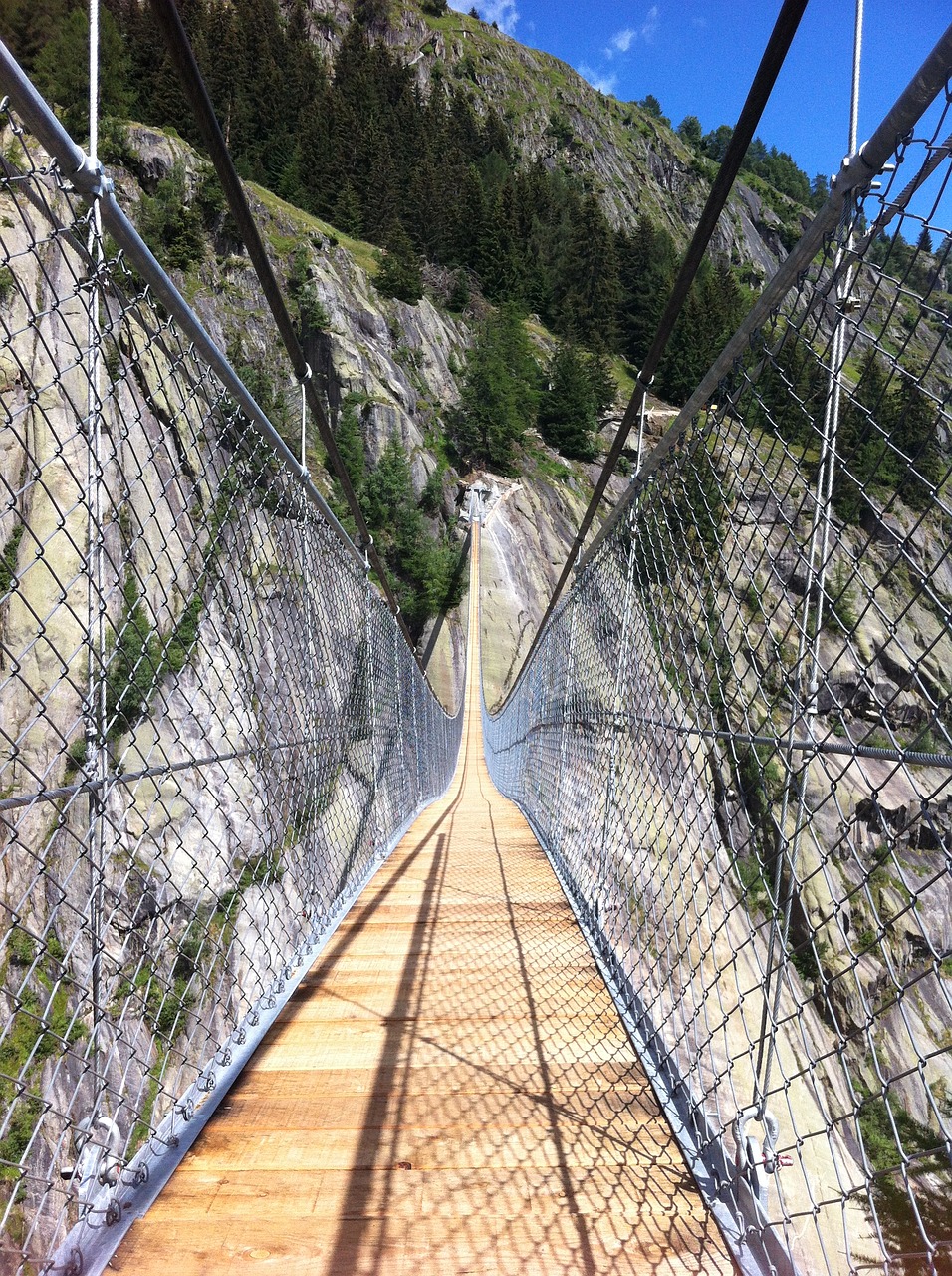 suspension bridge nature landscape free photo