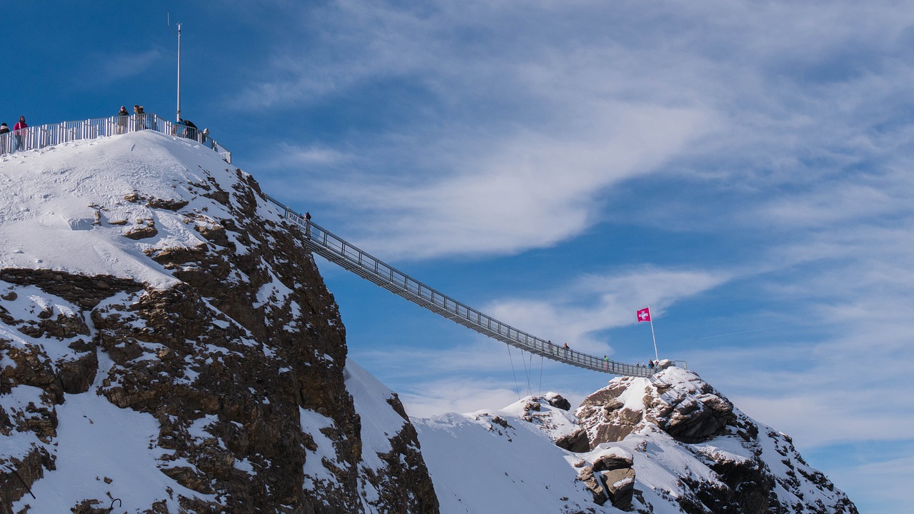 suspension bridge mountains valais free photo