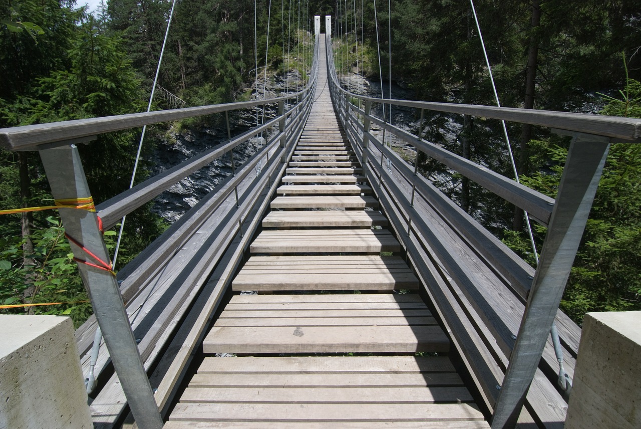 suspension bridge hike bridge free photo