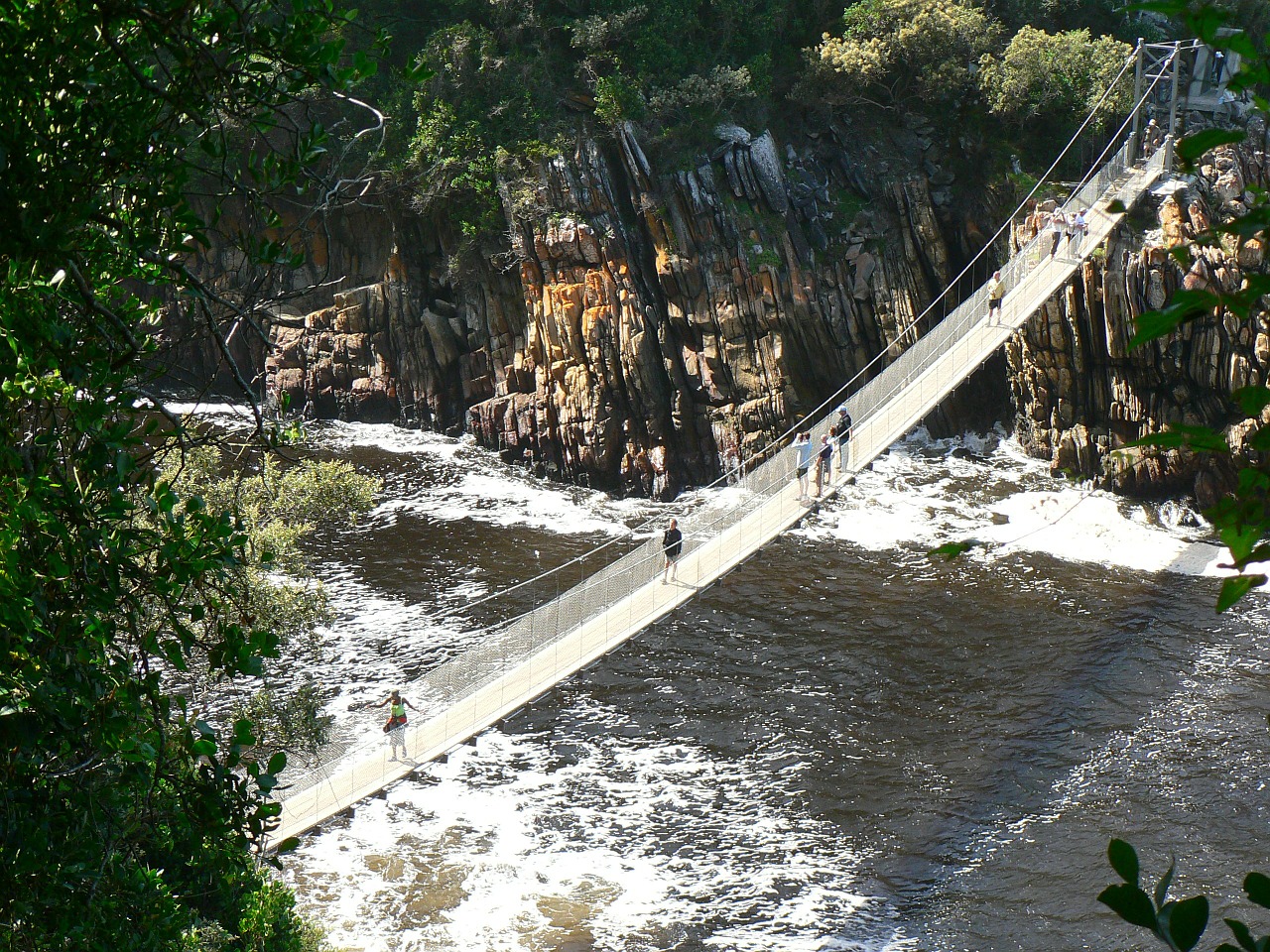 suspension bridge tsitsikamma the national park free photo