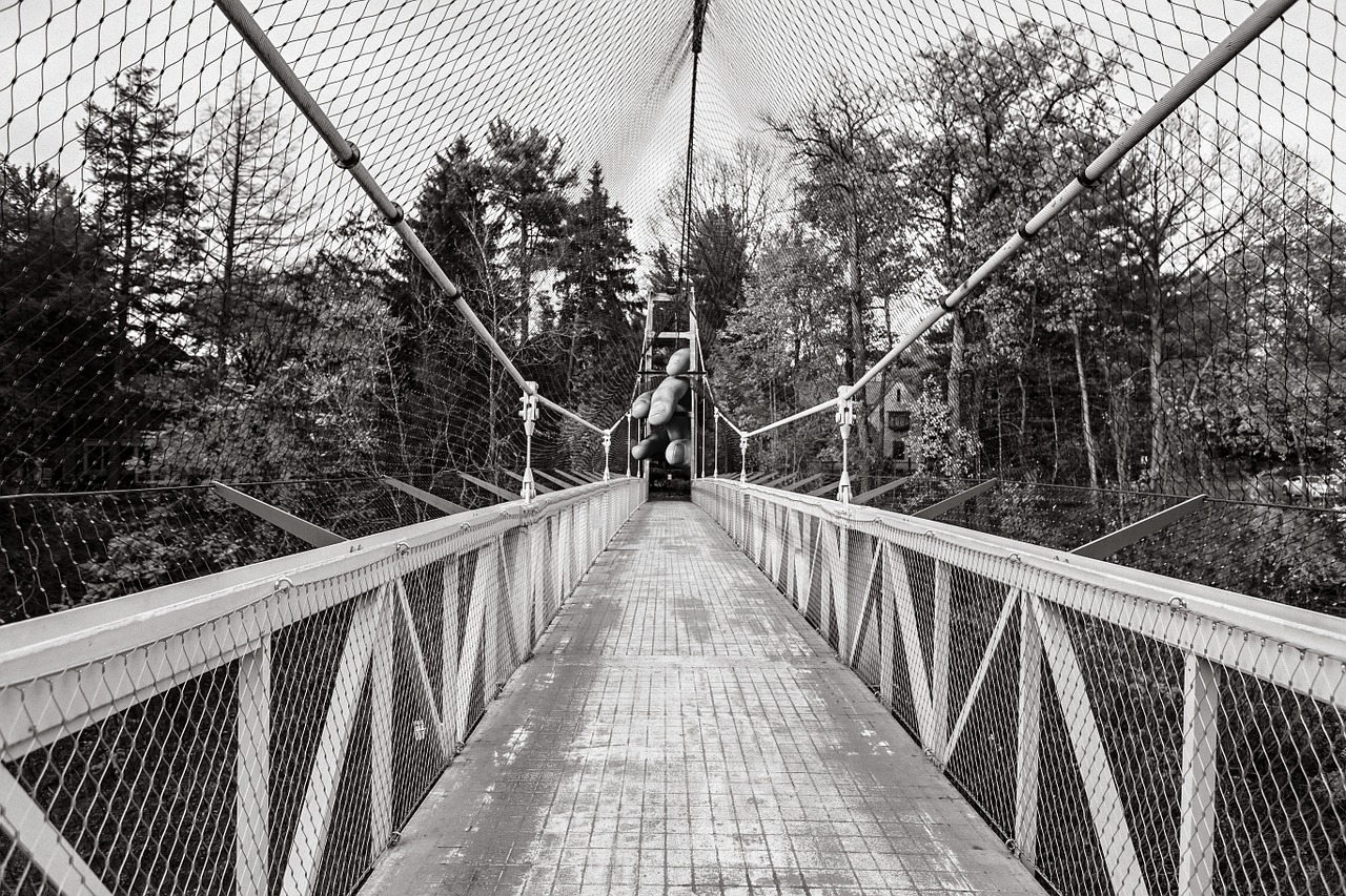 suspension bridge bridge voodoo free photo