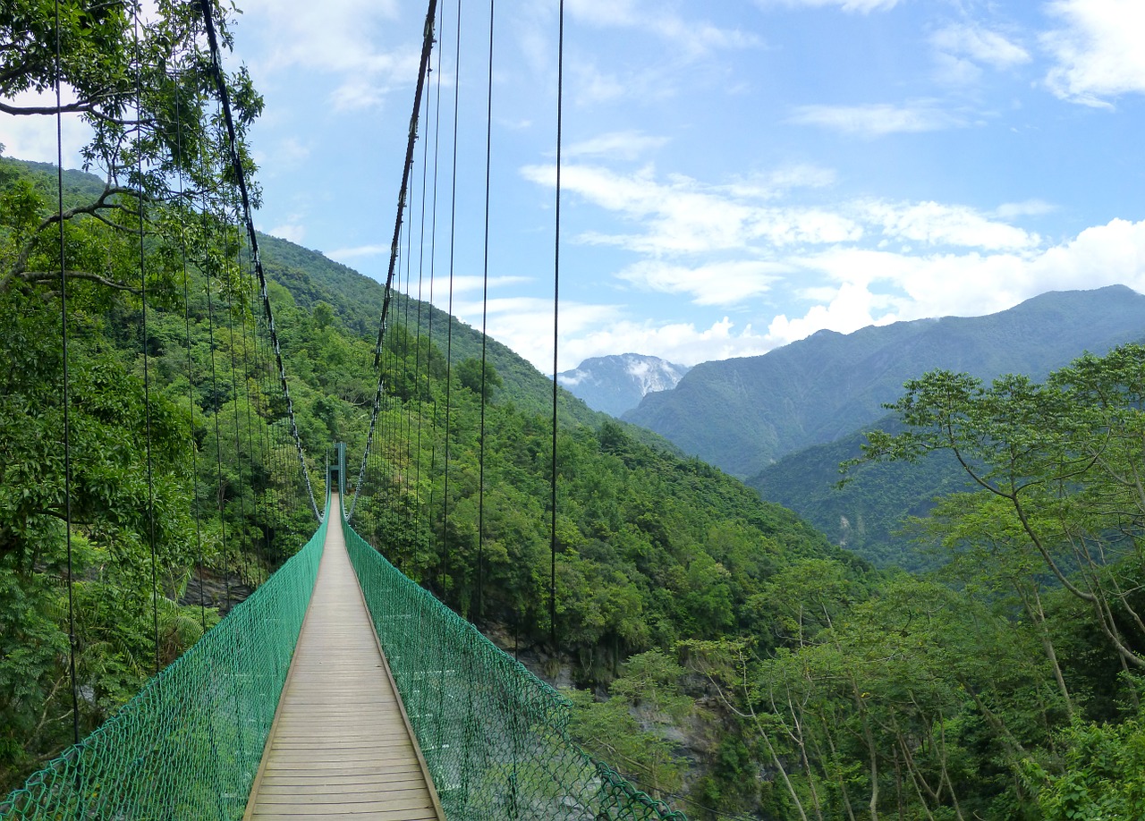 suspension bridge taiwan jungle free photo