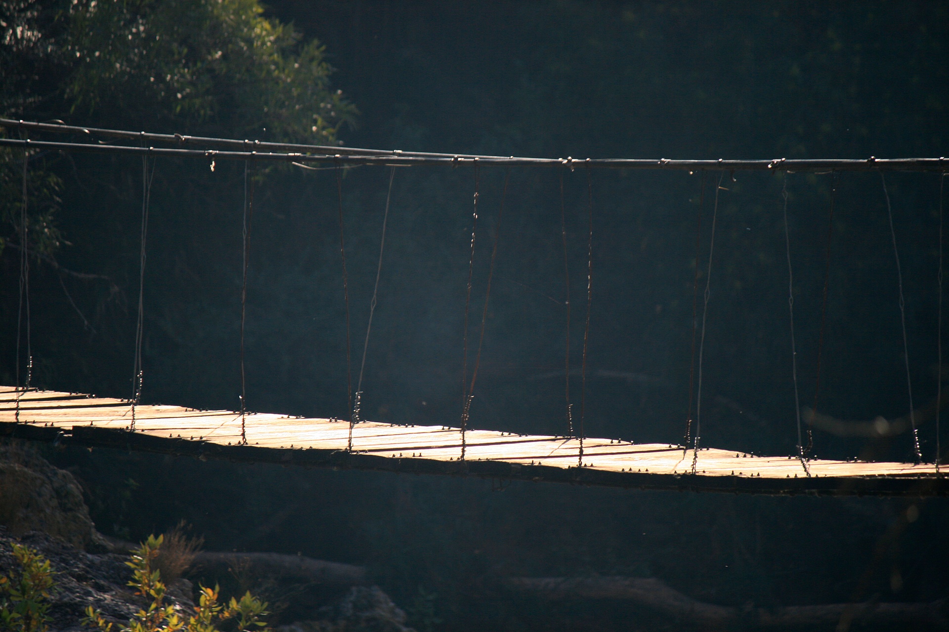 bridge river suspension free photo