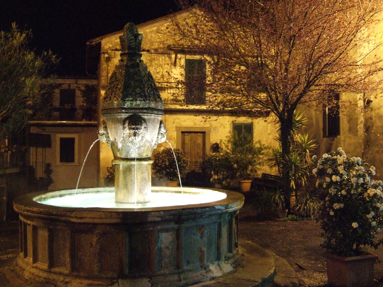 sutri fontana night free photo