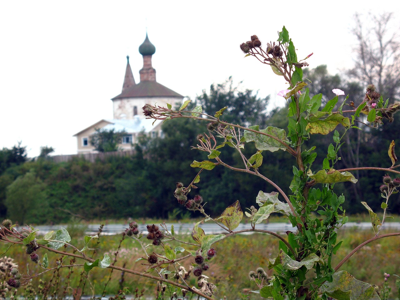 suzdal church history free photo