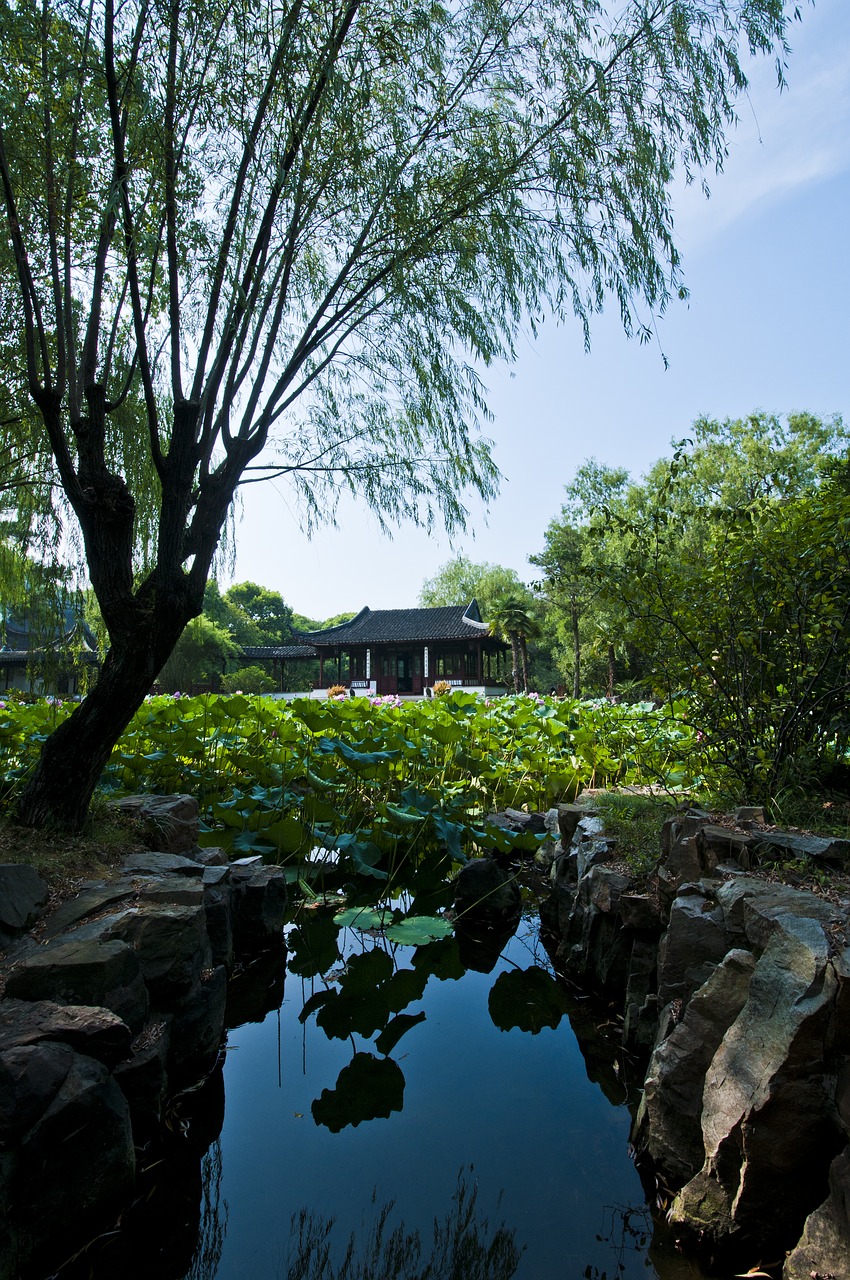 suzhou start garden garden free photo